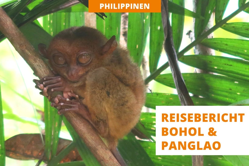 Reisebericht Bohol Panglao