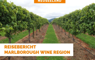 Marlborough Wine Region