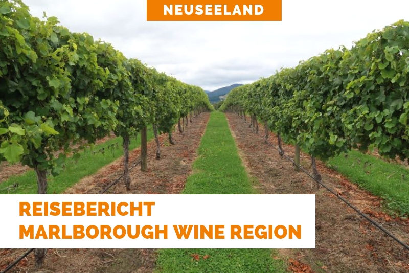 Marlborough Wine Region